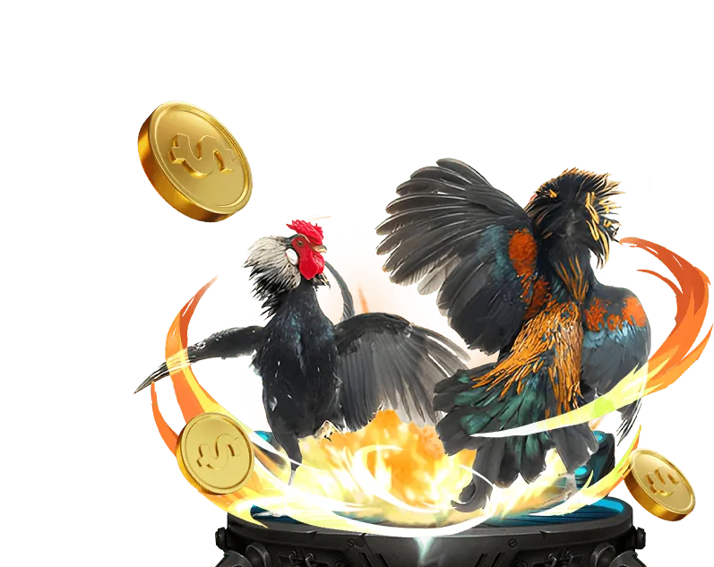 Trải nghiệm giải trí đa dạng tại 678win game